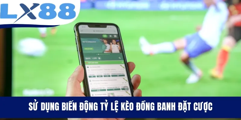 Sử dụng biến động tỷ lệ kèo đồng banh đặt cược
